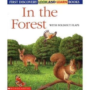 In the Forest (First Discovery Look and Learn) (Hardcover)